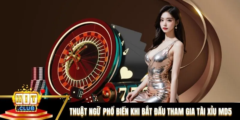 Thuật ngữ phổ biến khi bắt đầu tham gia Tài Xỉu MD5